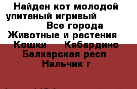 Найден кот,молодой упитаный игривый 12.03.2017 - Все города Животные и растения » Кошки   . Кабардино-Балкарская респ.,Нальчик г.